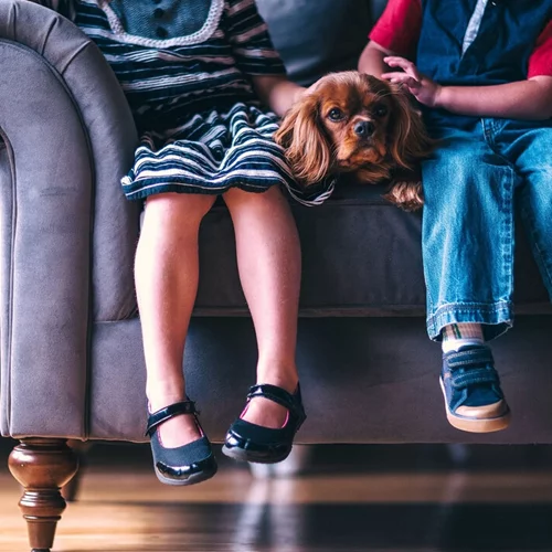 Pet Partners of Hellas: "Η επαφή ενός ανθρώπου με έναν σκύλο είναι ευεργετική από μόνη της"