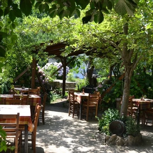 Καρυδιές / Σαμοθράκη