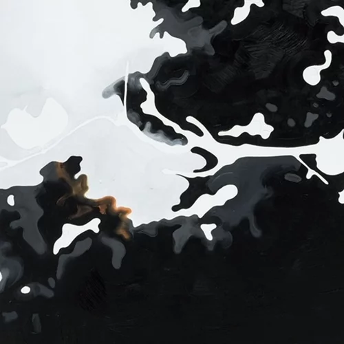 "Anything is better than the truth": Μια έκθεση για τα ασυνήθιστα φυτά της Ιρλανδίας