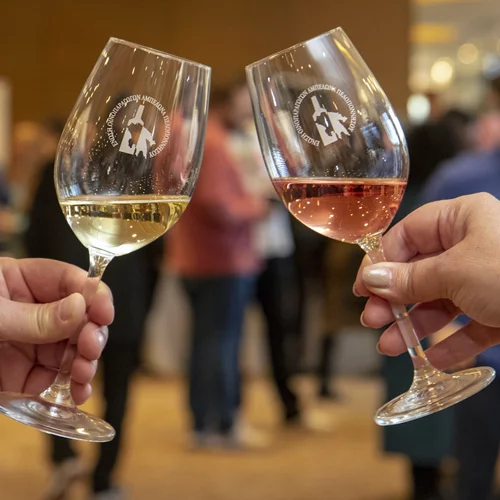 Γνωρίστε τον μεγαλύτερο αμπελώνα της χώρας στο Peloponnese Wine Festival