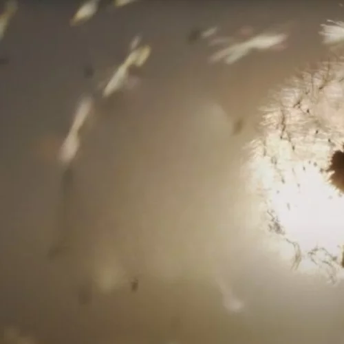 "(Α)όρατο Τραύμα": Η πρώτη πλήρως προσβάσιμη ψηφιακή έκθεση ζωγραφικής που αποκαλύπτει παιδικά τραύματα