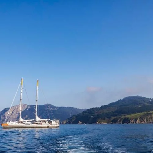 Κραυγή των ωκεανών: Αποκαλύπτοντας την επίδραση των ανθρώπων στα θαλάσσια οικοσυστήματα