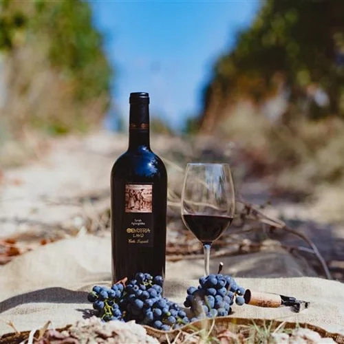 Το "Οινότρια Γη" του Costa Lazaridi  σου κάνει "κόρτε" στο γιορτινό τραπέζι