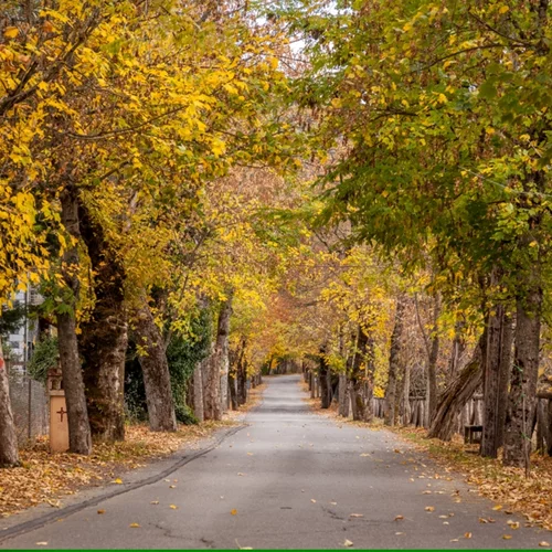 Ο 2ος κύκλος εκδηλώσεων του Φεστιβάλ Γαστρονομίας Πελοποννήσου ολοκληρώνεται στη Βυτίνα