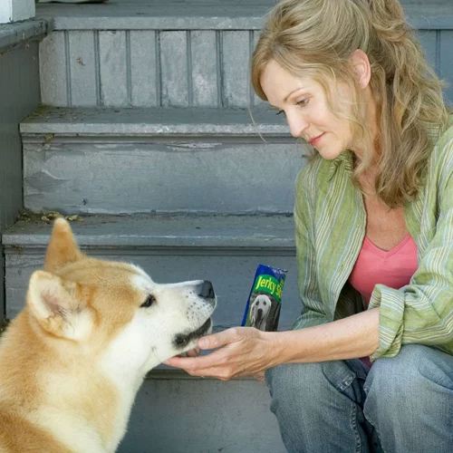"Ζώα και Συναισθήματα": οι καλύτεροι μας φίλοι στο ERTFLIX