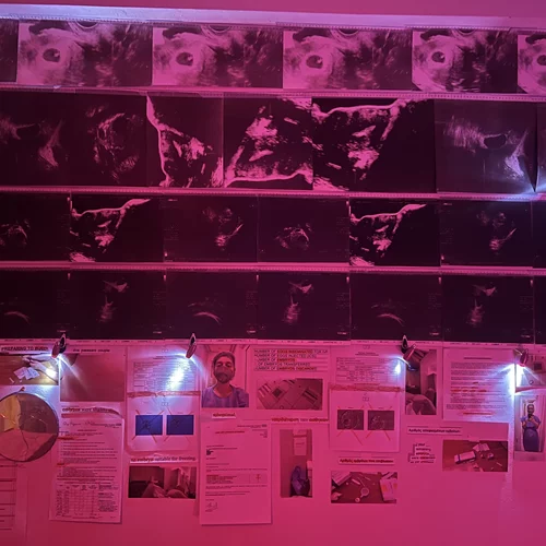 Η Αναστασία Καβαδά μετατρέπει το ΛΑΛΑ σε ένα χώρο αναστοχασμού και αναγέννησης γύρω από το τραύμα της α-γονιμότητας