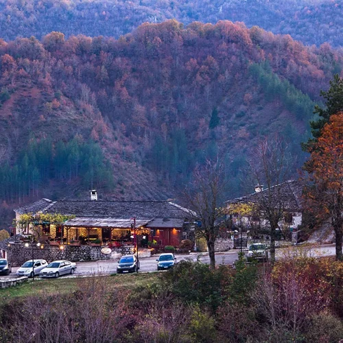 "Κανέλα & Γαρύφαλλο": Ένας παράδεισος των μανιταριών στα Ζαγοροχώρια