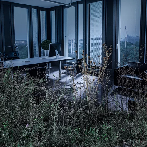 Τι αντιπροσωπεύει το "ΜΩΒ" για τον Δημήτρη Μυτά;