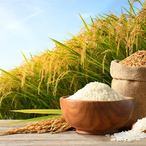 Για ένα Σαββατοκύριακο στο λιμάνι της Θεσσαλονίκης όλοι τρώμε ρύζι