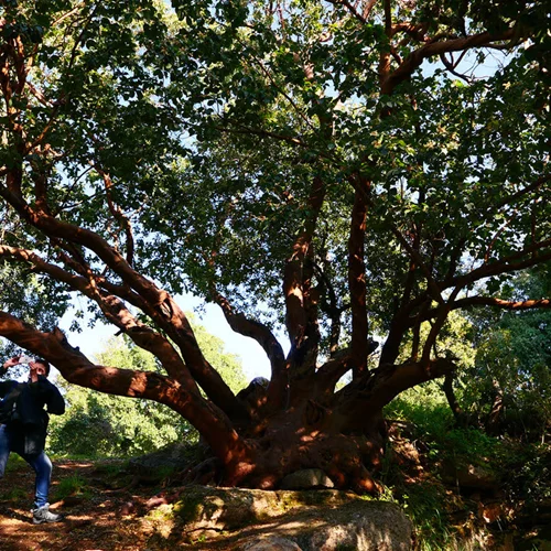"The Water From Your Eye": Αναγνωστική περφόρμανς στο Tavros