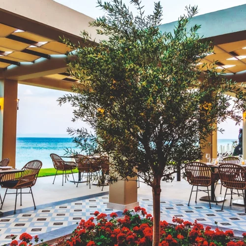 "Kyma Restaurant", Χαλκιδική