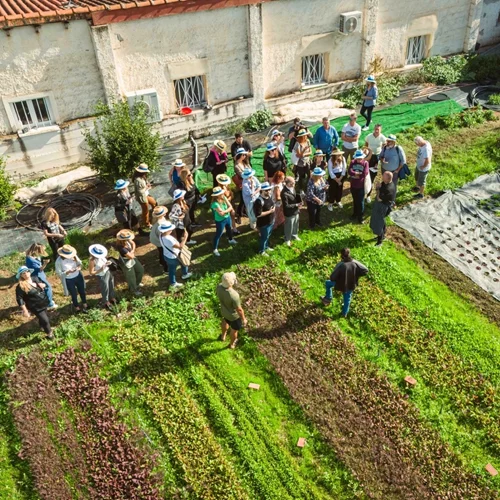 Η Φάρμα πίσω από το "πράσινο αστέρι" Michelin του "Delta restaurant"