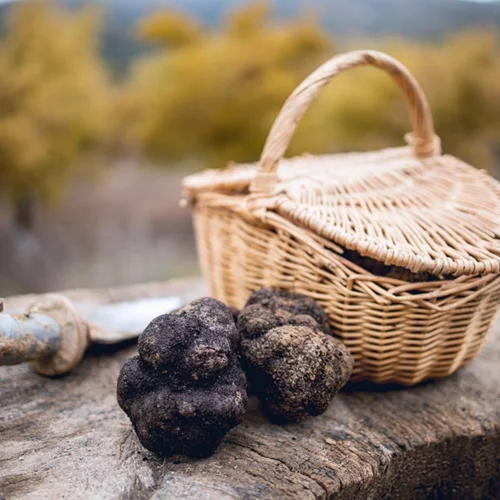 Στην Καλαμπάκα για την 1η Πανελλήνια Γιορτή Τρούφας