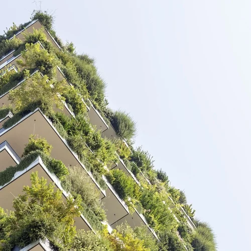 "Πρασινίζουμε το Γκρίζο": Διαγωνισμός του Δήμου Αθηναίων για πράσινες γωνιές σε σπίτια και γειτονιές