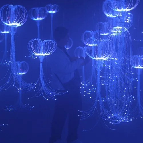 Medusa Valley: Η θάλασσα "αναδύεται" στην καρδιά της Αθήνας μέσα από χιλιάδες λαμπερές μέδουσες