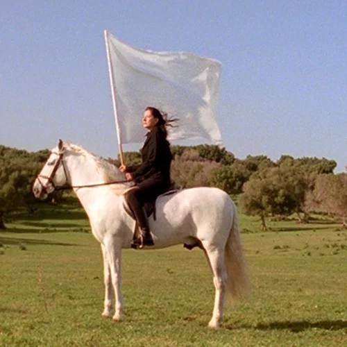 Η Μαρίνα Αμπράμοβιτς παρουσιάζει το πρώτο της NFT