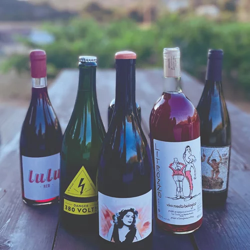 "Ela" να δοκιμάσεις φυσικά κρασιά από την "άλλη" Πάτμο