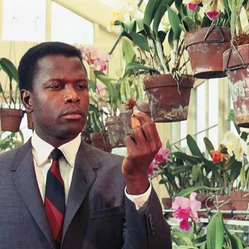 Ο σπουδαίος Σίντεϊ Πουατιέ πέθανε σε ηλικία 94 ετών