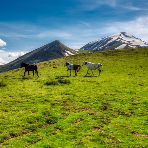 Οι καλύτεροι χειμερινοί προορισμοί της Ελλάδας: Άγραφα
