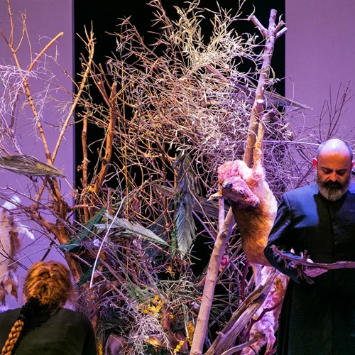 Οι παραστάσεις της "Φαίδρας" συνεχίζονται με επιτυχία