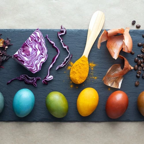 Καλλιεργώντας οικολογική συνείδηση στα εργαστήρια diy που οργανώνει το Ινστιτούτο Γκαίτε με την απ'Ουσία