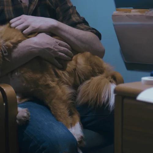 Good Boy: Η horror έκπληξη της χρονιάς έχει πρωταγωνιστή έναν αξιαγάπητο σκύλο