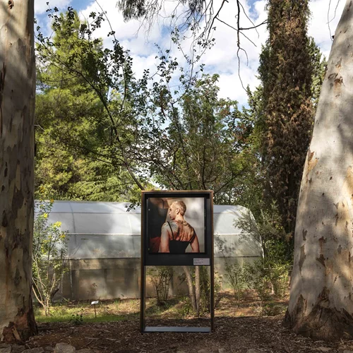 "Sheltered Gardens": Ένα καταφύγιο τέχνης στον άγνωστο στους πολλούς Βοτανικό Κήπο Διομήδους μας βγάζει από τα περιοριστικά πλαίσια της ταυτότητας