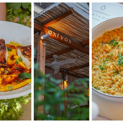 Για φαγητό στο Περιστέρι: Στη δροσερή αυλή του Σχίνου φάγαμε πεντανόστιμη δημιουργική κουζίνα & ήταν η απόλυτη έκπληξη