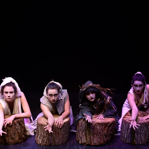 "Fallen Trees": Ένα θεατρικό φεστιβάλ για το περιβάλλον και την κλιματική κρίση