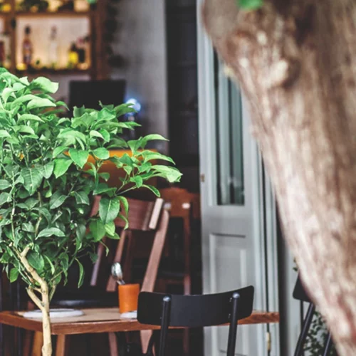 "Apiri", Ηράκλειο