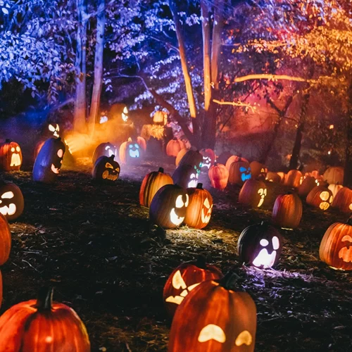 To Athens Halloween Festival έρχεται στην Δημοτική Αγορά Κυψέλης