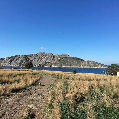 Φορείς και Πολίτες της Αίγινας για τη διαχείριση της έκτασης των ναυτικών οχυρών στην Πέρδικα