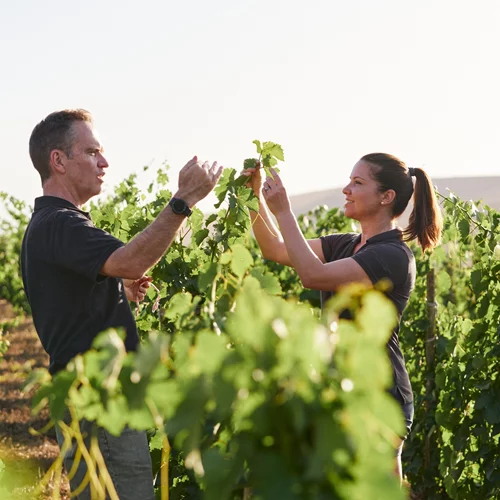 "Grand Resort Lagonissi": Ένα εκλεκτό δείπνο σε συνεργασία με το Mullineux Winery για πρώτη φορά στην Ελλάδα