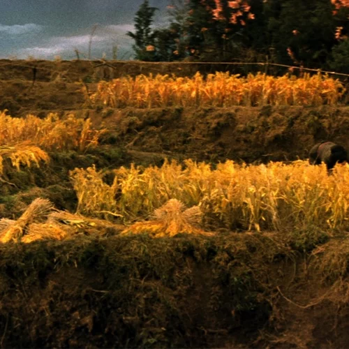 Η Μπαλάντα του Ναραγιάμα