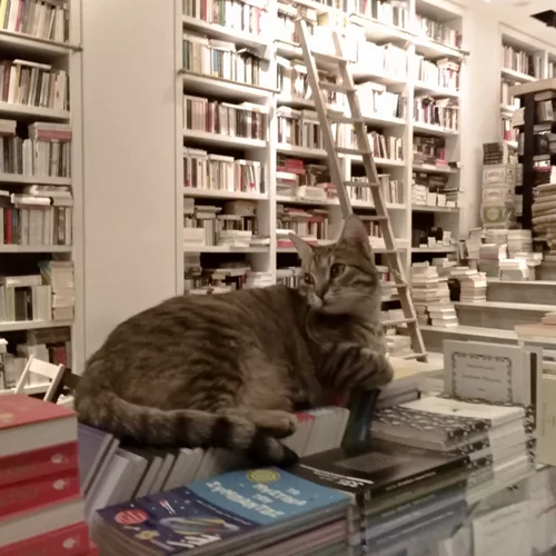 Επί Λέξει: Βιβλία με €2, λίγο πριν το κλείσιμο