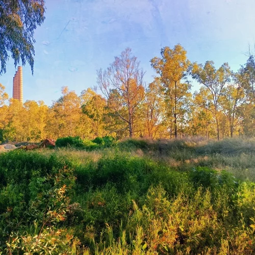 Μυστήριο 50 Ecoculture Festival: Μια γιορτή για το περιβάλλον ανοιχτή σε όλες τις ηλικίες