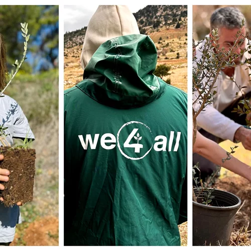 Το αθέατο έργο της We4all για την προστασία & την αποκατάσταση του πρασίνου σε Ελλάδα & εξωτερικό & πώς μπορούμε να συνεισφέρουμε κι εμείς