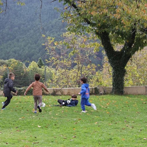 Νοέμβριος με βόλτες στη φύση και δημιουργικές ανακαλύψεις στη Βαμβακού Λακωνίας
