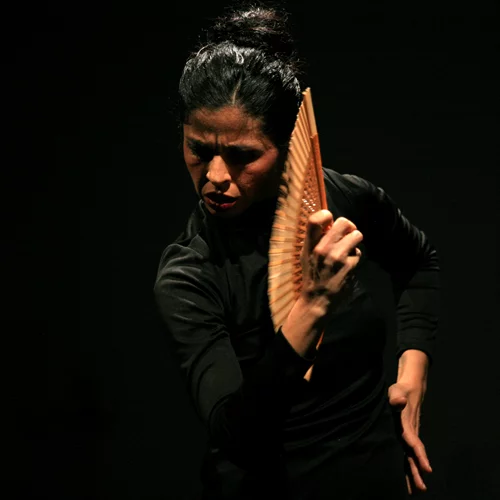 Flamenco performance στο Arroyo