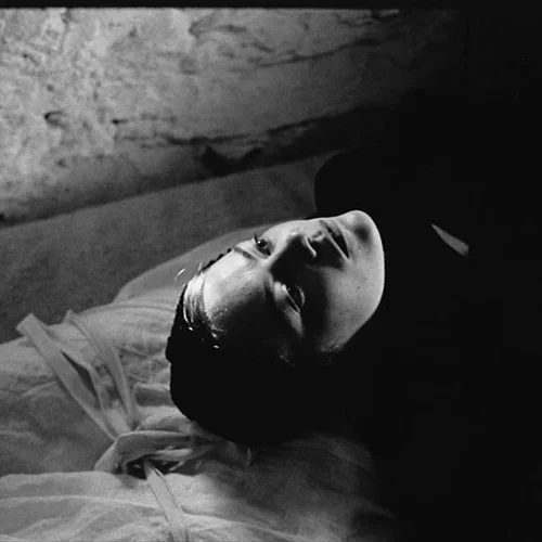 Είδαμε την "Βληχή" του Γιώργου Λάνθιμου