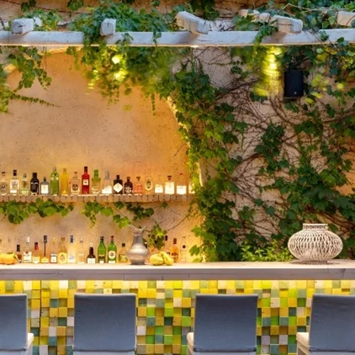 "Avant Garden", Σύρος