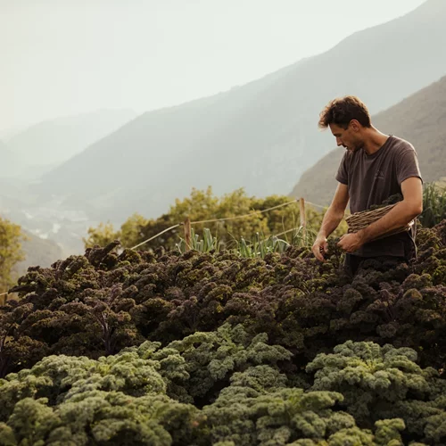 Οι σεφ που τολμούν να αποκωδικοποιήσουν τη μαγειρική γλώσσα του βουνού