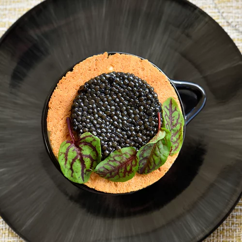 Κριτική: "Over Water" & "Tomata" - Χαλκιδική