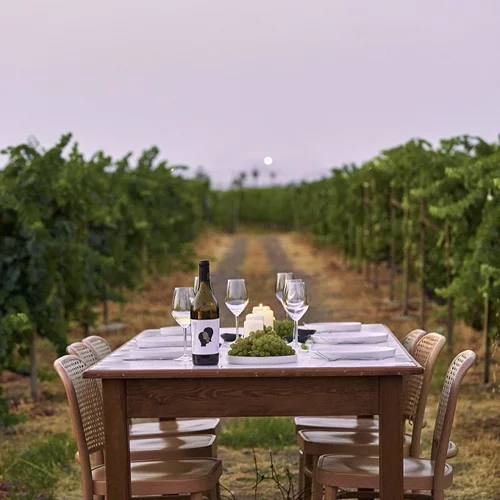 Και όμως η Κως έχει (και) Κρασί!