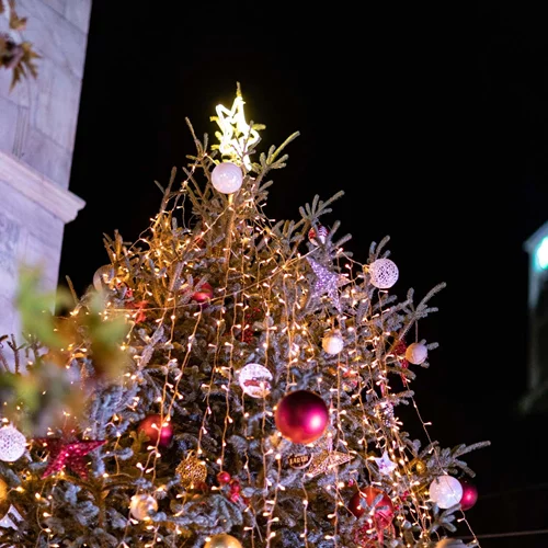 Γιορτές στη Βαμβακού Λακωνίας: Χριστουγεννιάτικες εμπειρίες και δραστηριότητες για όλη την οικογένεια