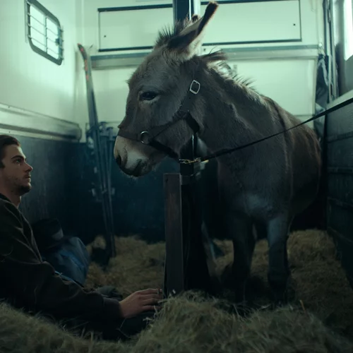 Γέρζι Σκολιμόφσκι: "Το "Στην Τύχη ο Μπαλταζάρ" είναι η μόνη ταινία που με έχει κάνει να κλάψω"