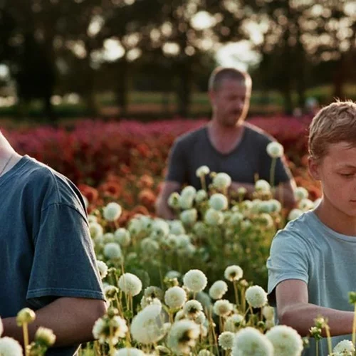 Το "Close" κέρδισε το Βραβείο Κοινού LUX