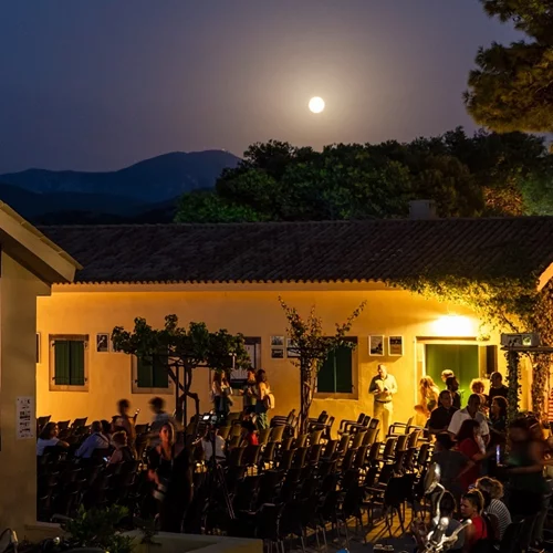 Νέα προθεσμία υποβολής ταινιών για το 4ο Διεθνές Φεστιβάλ Κινηματογράφου "Κύματα"