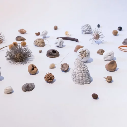 Οι πολλαπλές ερμηνείες της τεχνικής του "close-up"