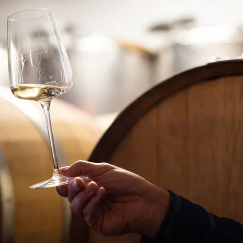 Athens Wine & Art Festival: Tο μεγαλύτερο φεστιβάλ κρασιού και τέχνης στην Ελλάδα επιστρέφει